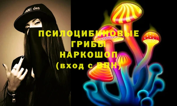 мет Алексин