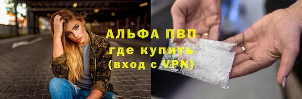 мет Алексин