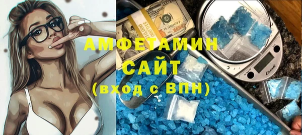 мет Алексин