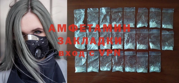 мет Алексин