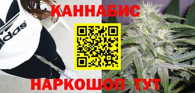 мдпв Гусев