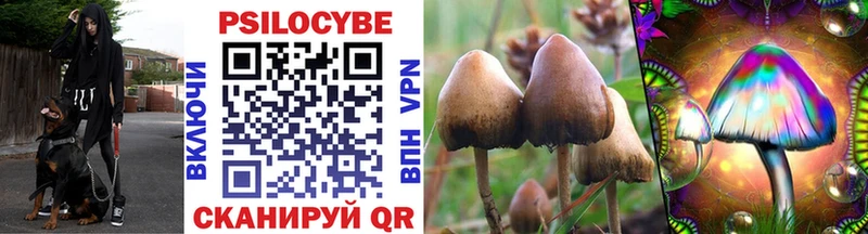 Галлюциногенные грибы Cubensis  Мирный 
