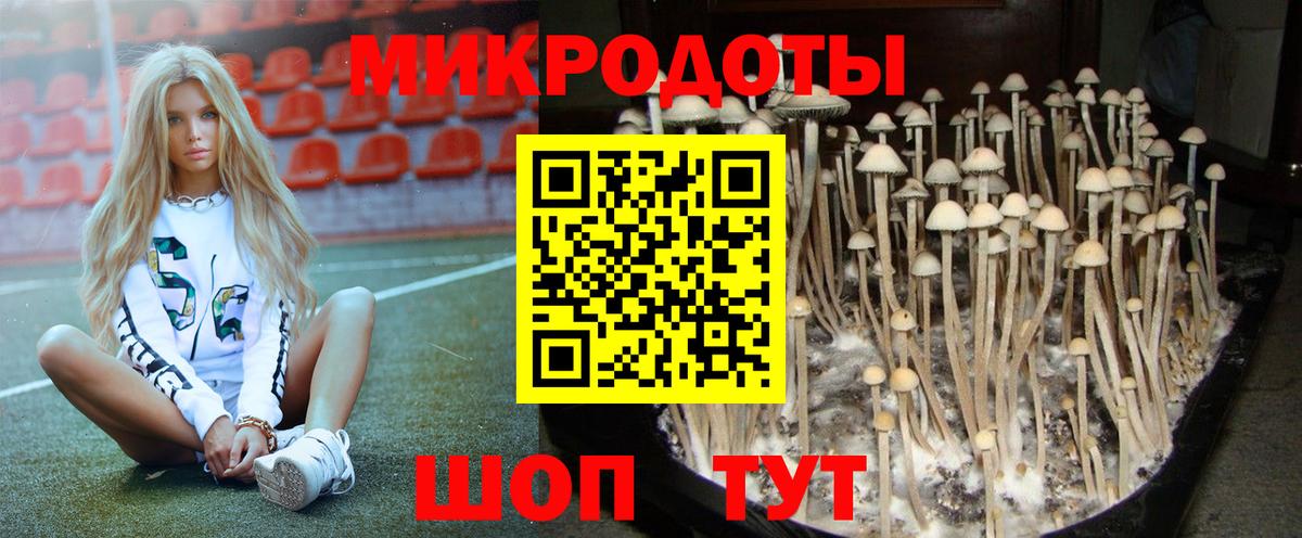 Галлюциногенные грибы Cubensis Мирный